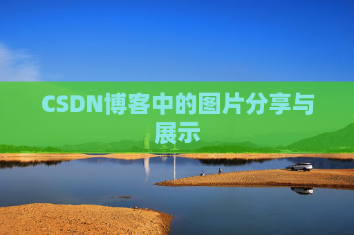 CSDN博客中的图片分享与展示